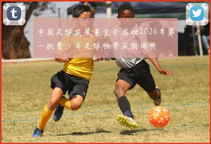 中国足球发展基金会启动2026年第一批青少年足球物资采购询价